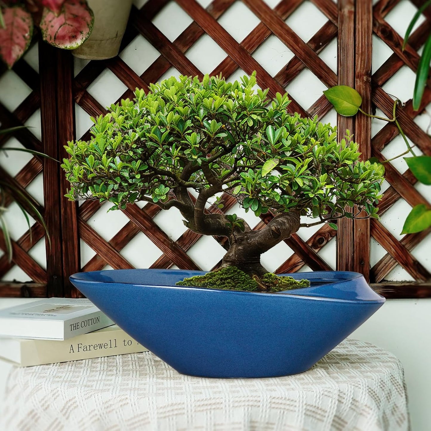 Bonsai Pot - 18 Inch Ceramic Planter for Indoor Outdoor Plants Bonsai Tree Pot Modern Large Succulent Planter Decorative Plant Pot with Drainage Hole Blue