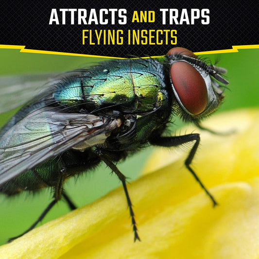 Black Flag Fly Stick, Trap Houseflies and Flying Insects, Pack of 6
