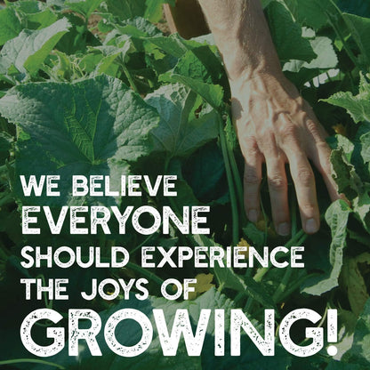 No-Till Garden Farm and Garden Cover Crop Mix Seeds - 5 Lbs - Blend of Gardening Cover Crop Seeds: Hairy Vetch, Daikon Radish, Forage Collards, Triticale, More