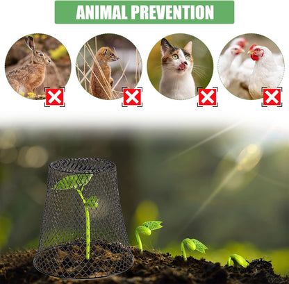20 Pcs 9×9inch Chicken Wire Plant Covers Wire Garden Cloches Chicken Wire Cloche Plant Protector Metal Heavy Duty Garden Plant Cloche for Keeping Bunnies Chicken Squirrels Birds Other Out