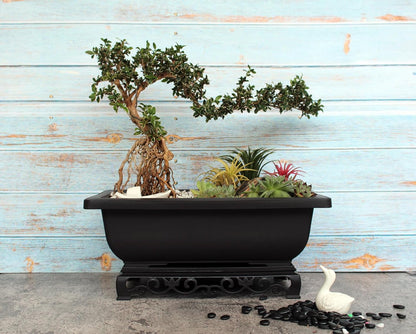 Bonsai Pot – 2-Pack 11.5 Inch Bonsai Training Pot with Eelegant Stand – Antique Brown Bonsai Pots with Mesh Drainage – Luxurious Bonsai Tree Pots Indoor Made with Recycled Plastic