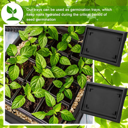 Pinkunn 2 Pcs Bonsai Humidity Tray Drip Tray Plastic Plant Water Catcher Plant Saucers for Indoors and Outdoors Cactus,Succulents,Bonsai Tree,Stone Not Included (15.7 x 13 Inch)