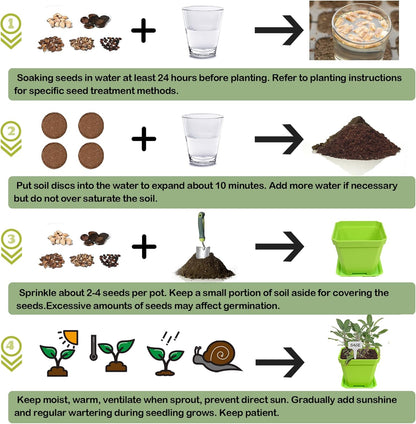 10 Herb Seeds Garden Starter Grow Kit with Green Pots, Markers, Nutritional Soil, Watering, Herb Clipper, Complete Indoor Potted Plant Growing Set for Kitchen DIY