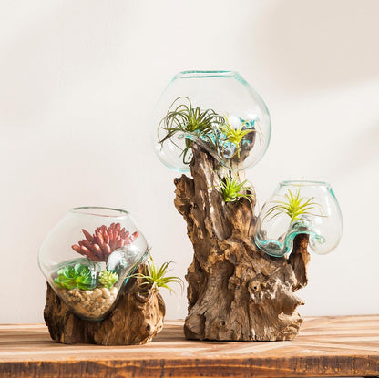Cape Craftsmen 7" H Hand-Blown Blue Tinted Bubble Glass On Natural Teak Driftwood Terrarium | Home Décor Indoor Planter with Stand | Pot for Succulent and Plants
