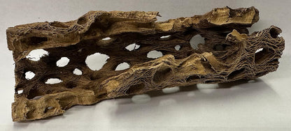 Natural Cholla Wood Chunk Large Air Plant Display Holders Individually Unique Decorative Stands or Holder (Cholla Chunk Large)