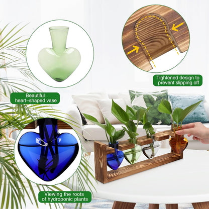 Plant Propagation Stations Heart Plant Terrarium Kit Gift for Women Plant Lover Glass Vases