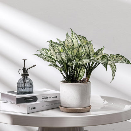 5.8 Inch Plant Pot: Ceramic Planter with Drainage Hole & Saucer for Indoor Outdoor Plants - Flowerpot with Bonded Tray for Home Office - Retro Style, Grey