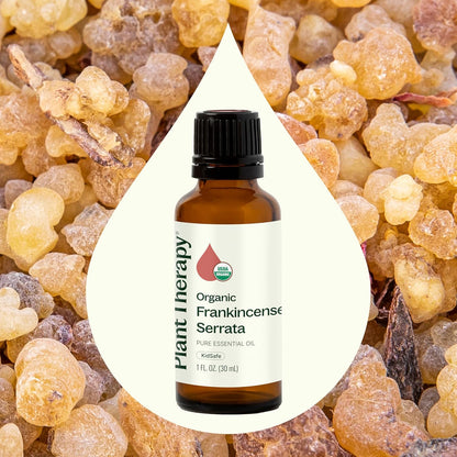 Plant Therapy Organic Frankincense Serrata Essential Oil 100% Pure, USDA Certified Organic, Undiluted, Natural Aromatherapy, Therapeutic Grade 30 mL (1 oz)