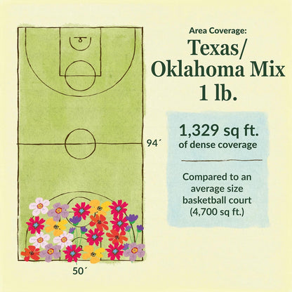 Ferry-Morse Texas Oklahoma Mix Bulk Wildflower Seeds, 1lb
