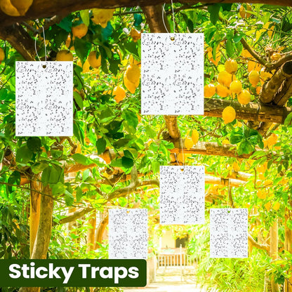 Qualirey 100 Pcs 6 x 8 Inch Sticky Traps for Plant Double Sided Sticky Trap for Gnats with Twist Ties Fly Traps for Fruit Insect Fungus Bugs Indoor Outdoor (White)