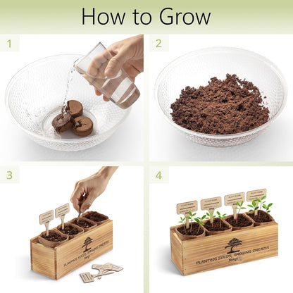 Bonsai Tree Kit – 4X Unique Japanese Bonzai Trees | Complete Indoor Starter Kit for Growing Bonsai Plants with Tools & Planters – Gardening Gifts for Women & Men
