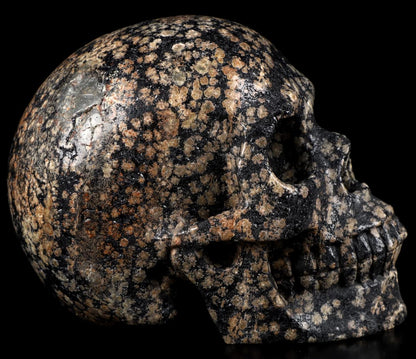 Skullis 5.0" Snowflake Obsidian Carved Crystal Skull, Hand Carved Gemstone Fine Art Sculpture, Reiki Healing Stone Statue.1397 Z8