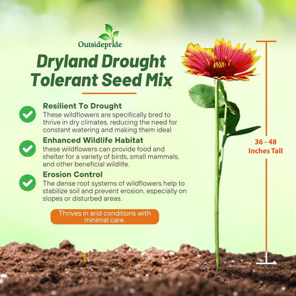 Outsidepride Dryland Wildflower Seed Mix - 5 lbs. Colorful Blend of Drought Tolerant, Annual and Perennial Wildflower Seeds for Attracting Pollinators in Arid States & Xeriscapes
