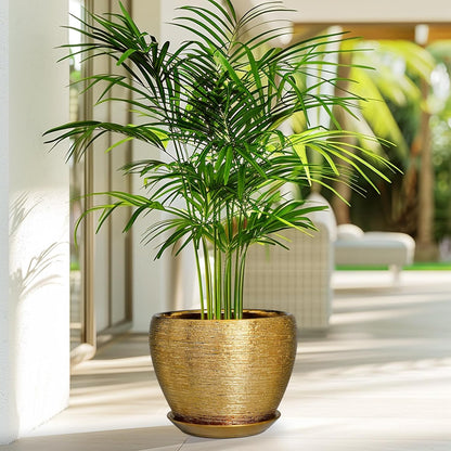 Ceramic Plant Pot 8 Inch - Planter for Outdoor Plants Indoor Plant Pot with Drainage Hole and Saucer Decorative Round Planter Modern Flower Pot for House Decor Gold