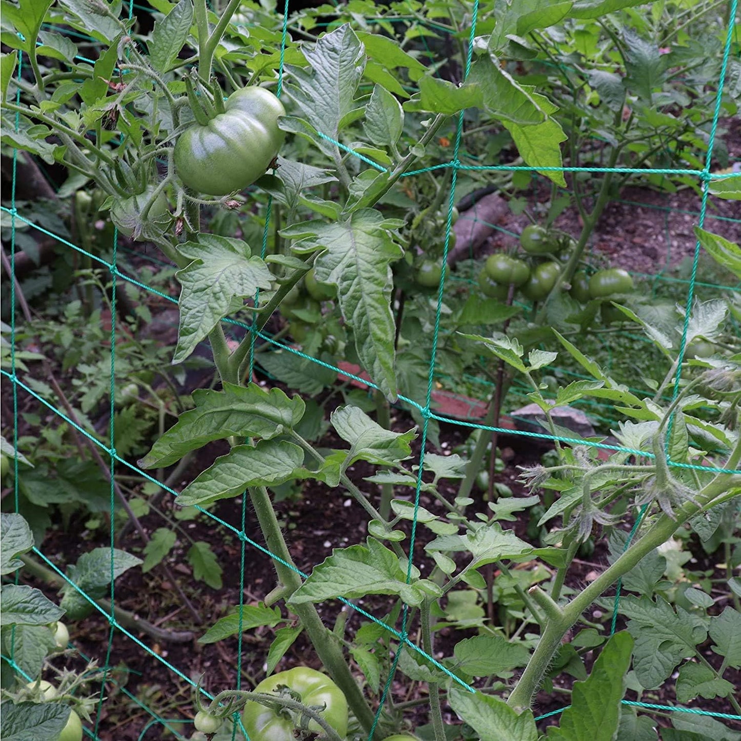 Trellis Netting for Climbing Plants - Heavy Duty Garden Trellis Netting for Cucumber, Vine, Fruits & Vegetables Tomato Plants Trellis Net, Climbing Vining Plants (1-Pack 16.4' x 6.6'Ft)
