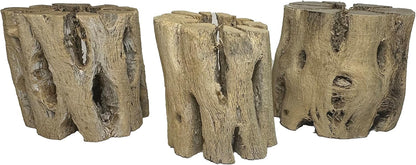 3 Natural Cholla Wood Air Plant Display Holders 2 inch Individually Unique Round Decorative Stands