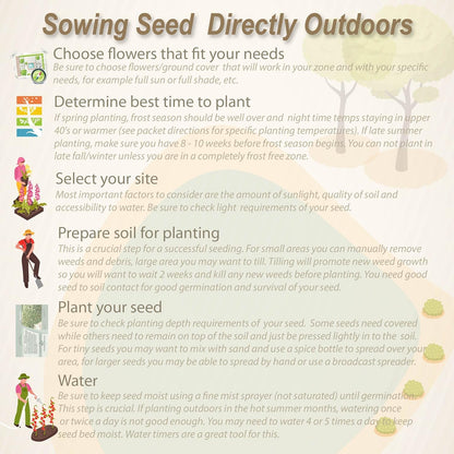 Outsidepride Low Growing Wildflower Seeds - 5 lbs Dwarf, & Short, Diverse Perennial & Annual Wild Flower Seed Mix with Long Bloom Season for Colorful Display That Thrives on All States