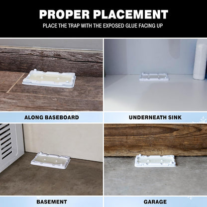 Catchmaster Freeze Resistant Glue Traps 6PK Mouse Traps Indoor for Home, Pest Control Adhesive Tray, Catch Bugs, Crickets, Spiders & Rats, Glue Boards for Cold Weather, House, Shed & Garage