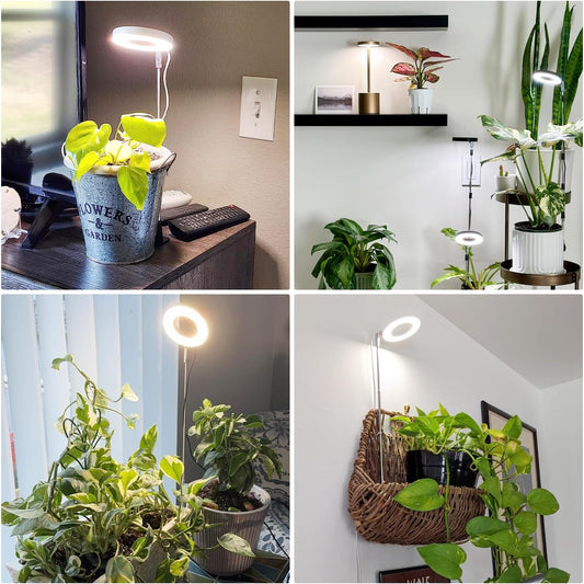 Grow Lights for Indoor Plants,Full Spectrum Plant Lights for Indoor Growing with with 3/9/12H Timer, 3 Color Modes, 10 Brightness, 6.5"-26" Height Adjustable Small Grow Light, 2 Pack(3.4in)
