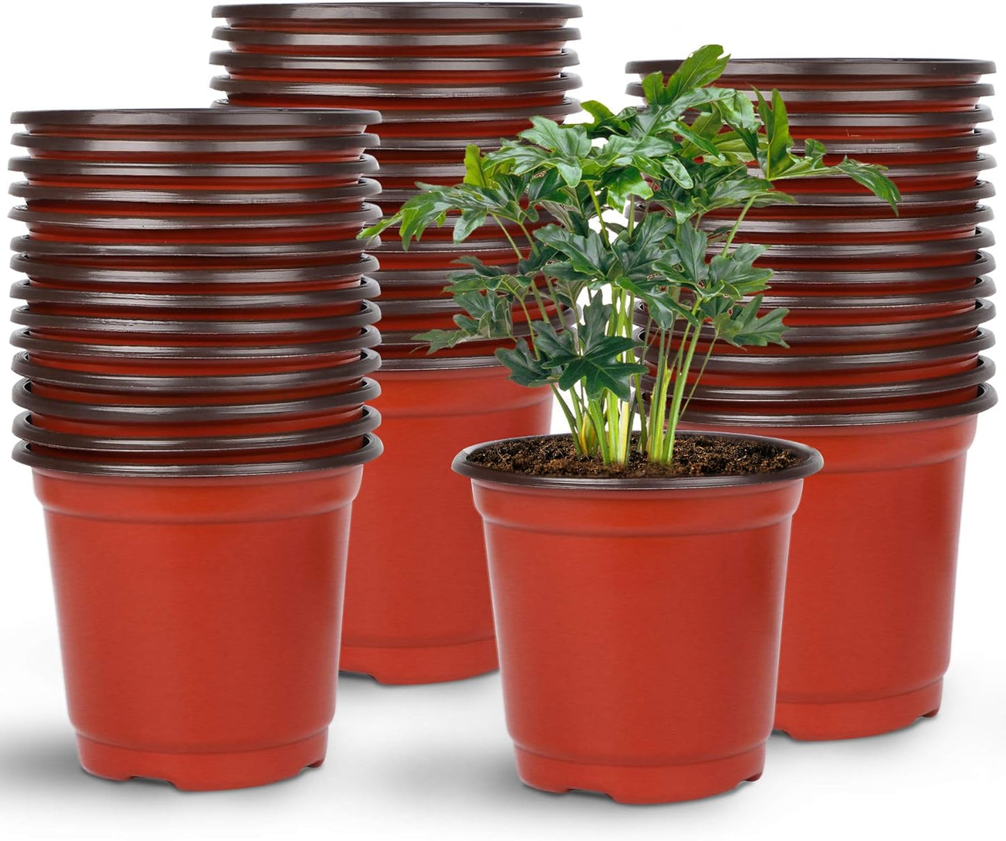 Augshy Nursery Pot, 75 Pcs 4" Plastic Nursery Seed Starting Pots Flower Plant Container for Succulent Seedling Cutting Transplanting
