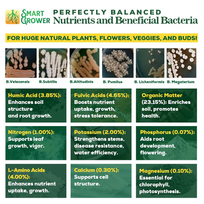 Organic Plant Food with Beneficial Microbes, Fast Acting Vegan Fertilizer for Vegetable Garden, Outdoor & Indoor Plant Fertilizer, Miracle Growth for Plants Concentrated Value 500GR Makes 120 gallons