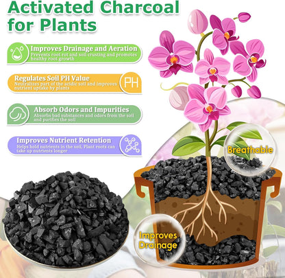 Legigo 6QT All Natural Horticultural Charcoal- Activated Hardwood Plant Charcoal for Soil Amendment, Conditioning Bonsai Soil, Succulent Soil, Terrarium Supplies, Indoor Plant Potting Soil