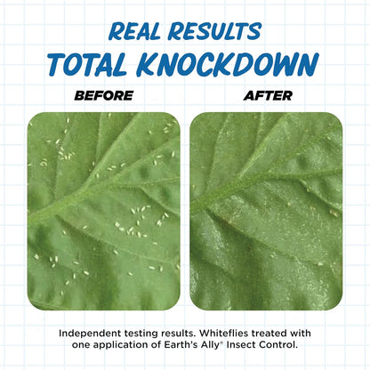Earth's Ally Insect Control for Plants Ready-to-Use 24 oz | Safe Outdoor & Indoor Plant Insecticide, Spider Mite, Aphid & Mealybug Killer - Effective Spray for Organic Garden & Household Plants