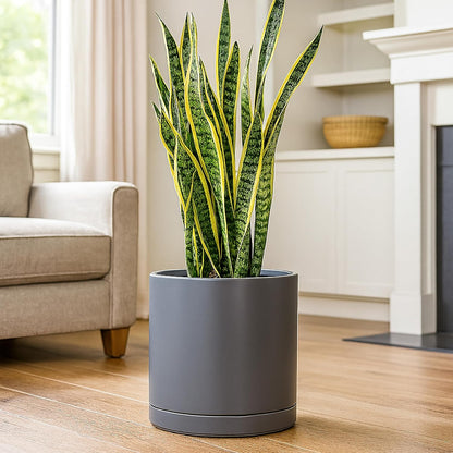 D'vine Dev 12 Inch Ceramic Planter Pot with Drainage Hole and Saucer, Indoor Cylinder Round Planter Pot, Speckled Grey, 94-O-F-3