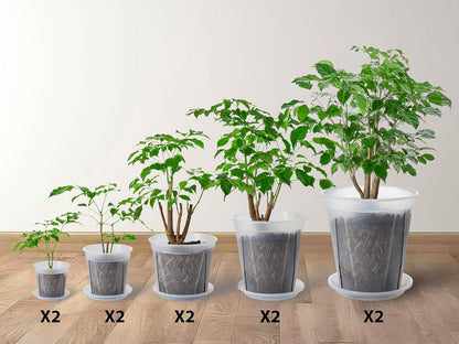 Large Clear pots for Plants with Saucers,10 pcs 9.5/8.3/7/6/5 inch Thick Plastic Nursery pots for Plants with Drainage Holes for Monstera Plant Live,Succulents etc - Indoor and Outdoor use