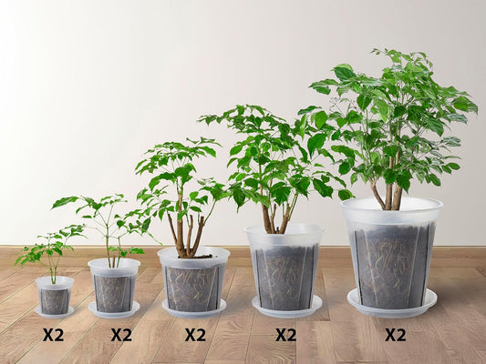 Large Clear pots for Plants with Saucers,10 pcs 9.5/8.3/7/6/5 inch Thick Plastic Nursery pots for Plants with Drainage Holes for Monstera Plant Live,Succulents etc - Indoor and Outdoor use