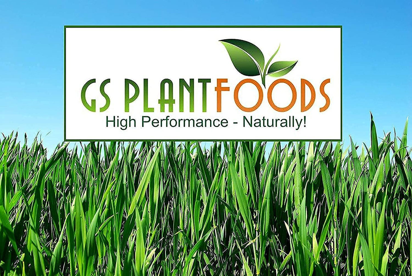 Humic Acid - Organic Liquid Humic Concentrate with Fulvic Acid - (275 Gallon Drum) - Multi-Purpose Soil Conditioner - Suitable for Gardens, Lawns, Houseplants & Trees