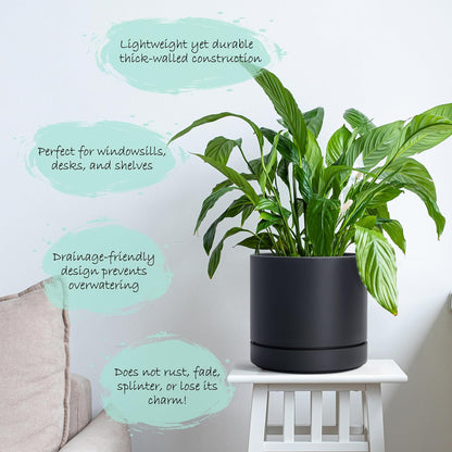 Phoenix Vine 4 Inch and 6 Inch Planter Pot with Drainage Hole & Deep Water Catch Tray Saucer, Straight Cylindrical Round Pot for Plants, Matte Black, 23-A-2-Z