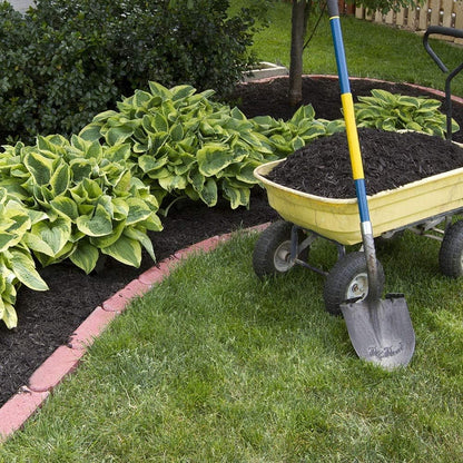 Ultimate Hosta Garden Collection 6-Pack of Bare Roots Hardy Mixed Heart-Shaped Hosta - Rich Green Foliage, Low Maintenance, Heart Shaped Leaves Great Perennials - 1000'S Sold