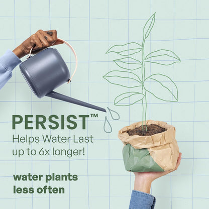 Persist Horticultural Charcoal 3qt Bag, Biochar Soil Amendment for Indoor Plants, Improves Soil for Terrariums, 100% Natural Active Carbon and House Plant Enhancer.