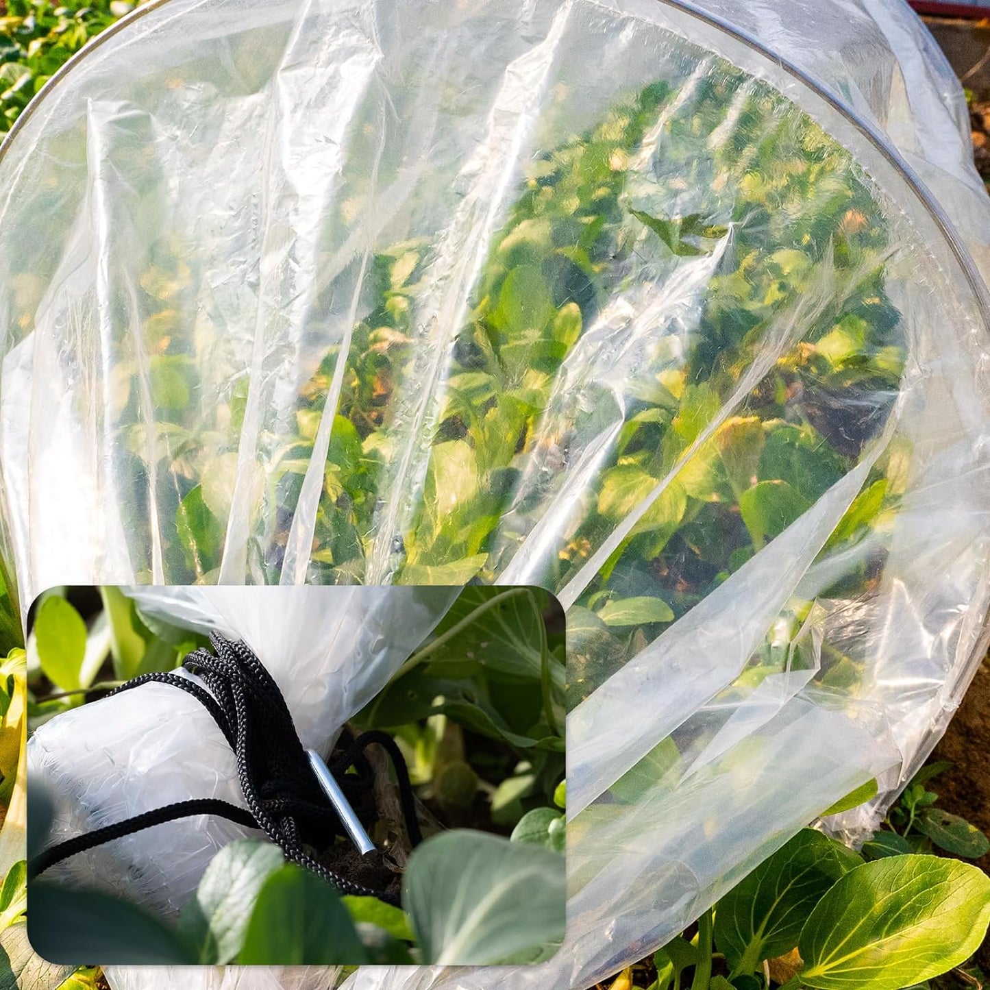 2 in 1 Mini Greenhouse Tunnel Greenhouses,Green Houses for Outside Garden Cloche Tunne Cover Garden Hoops Raised Beds,Outdoor Green House Kits to Build for Outside Winter (1)