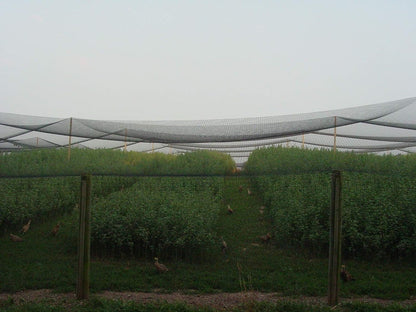 Excursions Aviary Netting 1" Heavy Knotted Poultry Net (6.25' x 150')