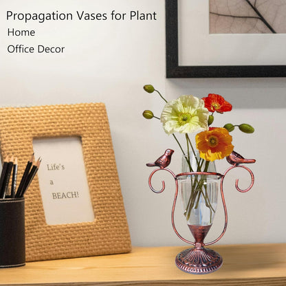 POXOH Vintage Glass Planter - Metal & Glass Propagation Vase with Dual Birds Art, Retro Indoor Planter for Hydroponic Plants, Office Desk Decor, Living Room Centerpiece