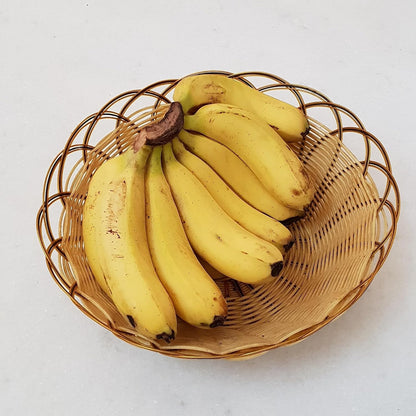 Set of 4 Dwarf Cavendish Banana Plants - Indoor/Outdoor Edible Fruit Trees - Fast Growing, Max Height 7 Feet