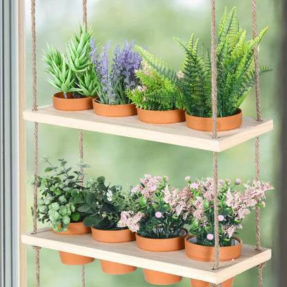 3 Tiered Hanging Herb Planters Hanging Herb Garden Wall with 12 Pcs Nursery Pot Wood Vertical Window Plant Shelf with Holes and Rope Plastic Flower Pots Spring Garden Indoor Kitchen