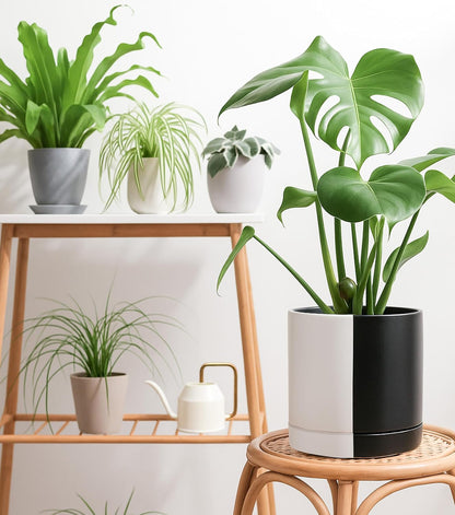 D'vine Dev 10 Inch Ceramic Planter Pot with Drainage Hole and Saucer, Indoor Cylinder Round Planter Pot, Split Monochrome Black & White, 94-O-E-0
