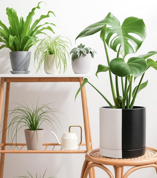 D'vine Dev 10 Inch Ceramic Planter Pot with Drainage Hole and Saucer, Indoor Cylinder Round Planter Pot, Split Monochrome Black & White, 94-O-E-0