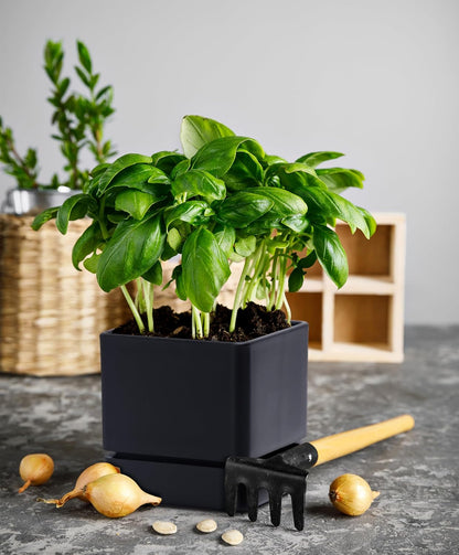 4 Inch Herb Planter Pot, Plastic Planter with Drainage Holes and Saucer, Modern Decorative Gardening Pot for Indoor Plants, Flowers, Herbs, Succulents, Black, Set of 2, 76-Y-B-2