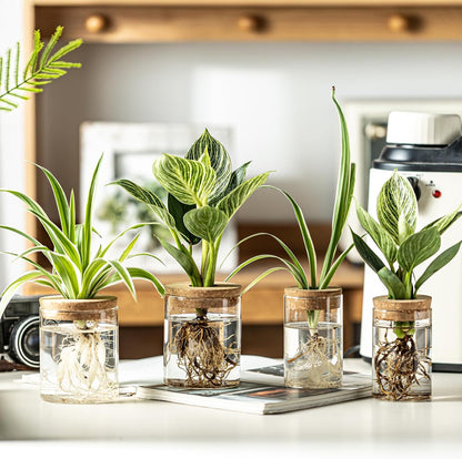Glass Plant Propagation Stations for Plants – Set of 4(4 Large & 4 Small) Hydroponic Vases for Plant Cuttings,Flower Arrangements, Home & Office Decor–Desktop Vases for Living Room, Bedroom (8)