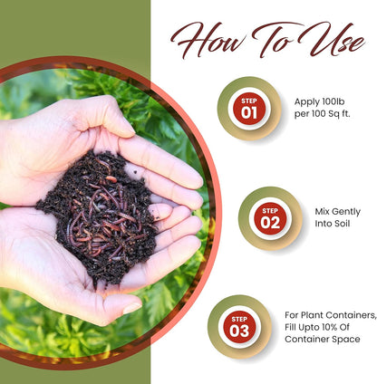 Worm Bliss (1 Qt) - Organic Worm Castings for Plants & Gardening - OMRI-Listed Earthworm Castings for Plants, Vegetables, Flowers, & Potting Soil - Organic Garden Fertilizer Rich in Nutrients
