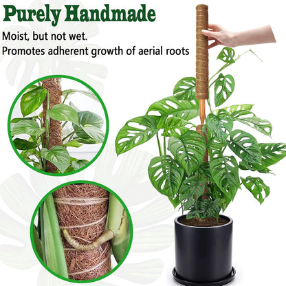2 Pack 21 Inch Moss Poles, Stackable Moss Pole for Plants Monstera, 37 Inch Tall Moss Poles for Climbing Plants Indoor, Coir Totem Plant Support Stakes Stand for Potted Plants, Pothos