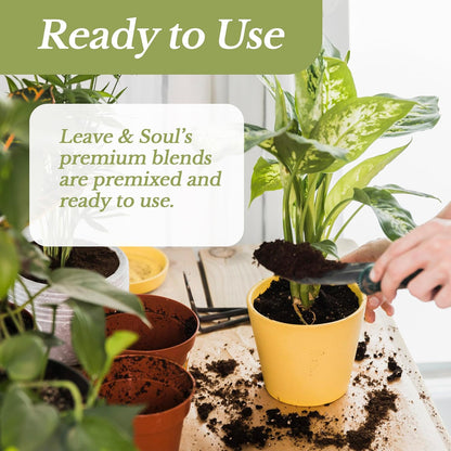 Indoor Plant Soil Premium All Purpose Blend | Large 2.2 Quarts | Ready to Use for Indoor Container and Houseplants | Peat, Coco Coir, Perlite, Dolomite | Made in USA