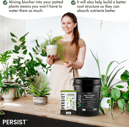 Persist Horticultural Charcoal 3qt Bag, Biochar Soil Amendment for Indoor Plants, Improves Soil for Terrariums, 100% Natural Active Carbon and House Plant Enhancer.