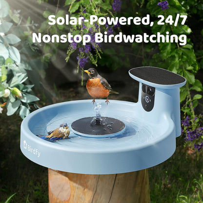 Birdfy Smart Bird Bath with Camera Solar Powered & Fountain, Dual-Lens Camera for Wildbird Watching, Auto Capture Bird Videos & Motion Detection - AI Lifetime Version