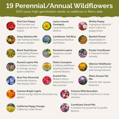 Eden Brothers Burst of Bloom Wildflower Mixed Seeds for Planting, 10 lb, 4,800,000+ Seeds with Cosmos, Black Eyed Susan | Attracts Pollinators, Plant in Spring or Fall, Zones 3, 4, 5, 6, 7, 8, 9, 10
