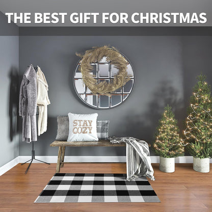 IOHOUZE Buffalo Plaid Checkered Rug 2x3 Ft Front Door Mats, Washable Area Rugs for Front Porch Decor, Spring Summer Welcome Mats Outdoor, Black White Rug for Farmhouse/Entryway/Home Entrance